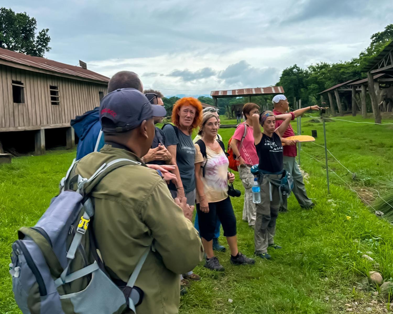 Greenland Safari, Sauraha Zewnętrze zdjęcie